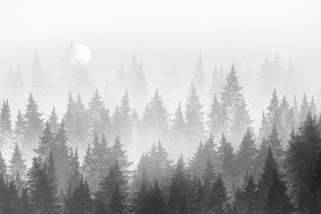 Minimalist forest in fog. Monochrome coniferous forest in fog. Digital painting. © jenteva