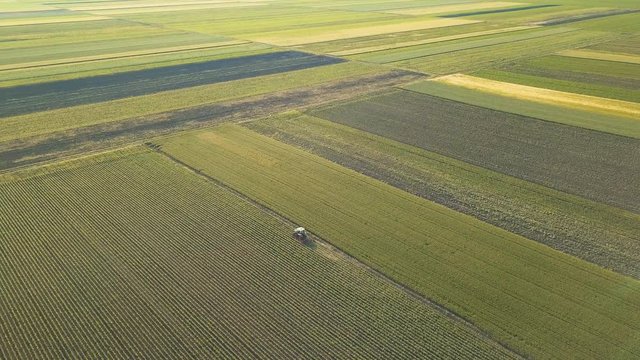 Tractor cultivating corn crop field, aerial view from drone pov