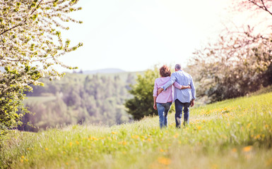 Senior couple walking arm in arm outside in spring nature.