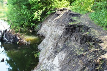 Steep Bank of the river