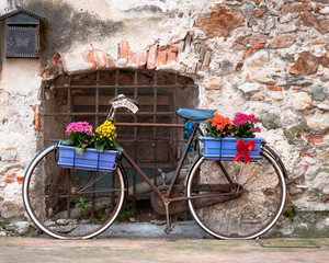 Fototapeta na wymiar Old bicycle decorated with colored flowers