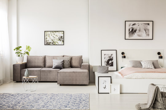 Real photo of a single person, open space apartment interior with a gray corner sofa in the living room and a white bed with pink blanket in the bedroom