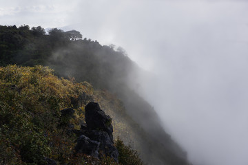 On the way Doi Luang Chiang Dao.The mist covered the mountain.