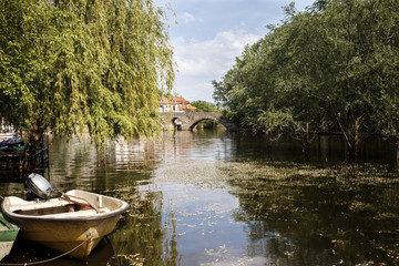 Naklejka premium a boat on the river with trees and bridge in background