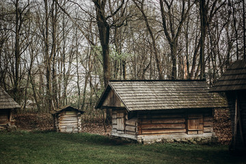 Fototapeta premium Rustic, wooden barn at countryside farm, old scandinatian stable house with thatch roof in national park woods, farming concept