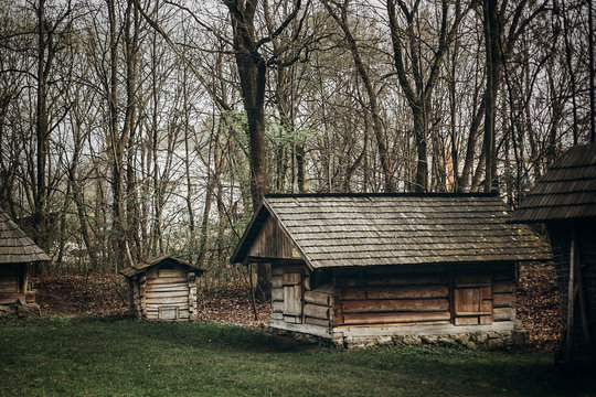 Rustic, wooden barn at countryside farm, old scandinatian stable house with thatch roof in national park woods, farming concept