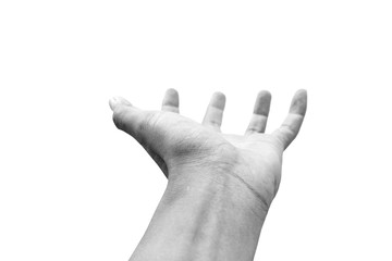 Isolated hand open up in black and white. Clipping path included.