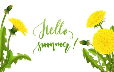 Dandelion banner hello summer lettering. Invitation flayer with flowers on white background. Vector illustration
