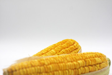 Corn on a white background