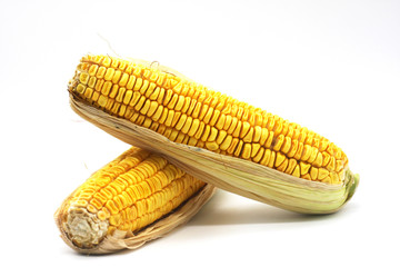 Corn on a white background