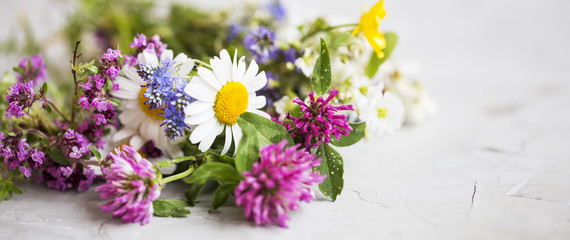 Healing herbs. Medicinal plants and flowers bouquet with mint, chamomile, thyme, clover, flax...