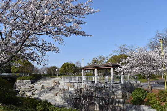 公園