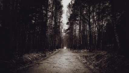 Fototapeta premium Light at the end of path