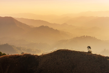 landscape view of sunset on high angle view with white fog over rainforest mountain in thailand 