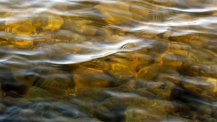 Sunlit shallow golden lake waters.  Rocks lying below surface.
