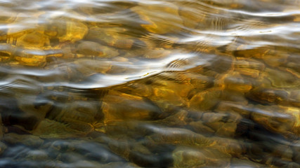Obraz na płótnie Canvas Sunlit shallow golden lake waters. Rocks lying below surface. 