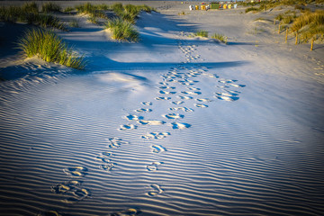 Töwerland-Maimomente