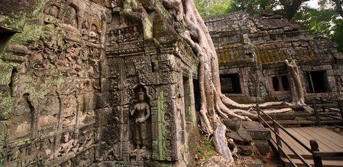 Buddha carvings on the ancient mossy stone walls of Angkor Ta Prohm Temple in the Angkor Area, near Siem Reap, Cambodia, Asia. Buddhist monastery under the giant roots of a tree.