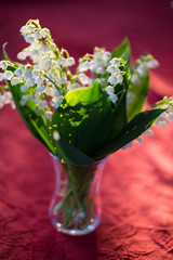 Lilies of the valley in the vase, red background