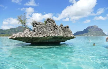 Foto auf Acrylglas Le Morne, Mauritius Crystal Rock vor der Küste von Mauritius bei Le Morne