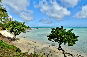 Strand im Norden von Mauritius