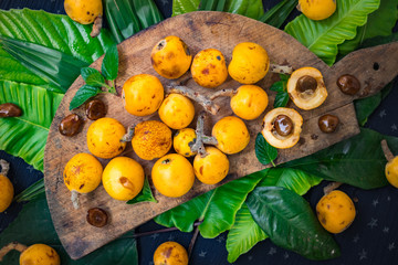 Fresh ripe mushmula or loquat fruit. Good for breakfast and desserts. Evergreen subtropical tree orange sweet and juicy fruit widely spread in Georgia, Japan, Korea, Spain and other asian countries.