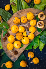 Fresh ripe mushmula or loquat fruit. Good for breakfast and desserts. Evergreen subtropical tree orange sweet and juicy fruit widely spread in Georgia, Japan, Korea, Spain and other asian countries.