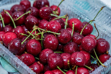 Ripe and washed cherries with water droplets.