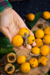 Woman hands holds  mushmula or loquat fruit. Breakfast and desserts. Evergreen subtropical tree orange sweet and juicy fruit widely spread in Georgia, Japan, Korea, Spain and other asian countries.