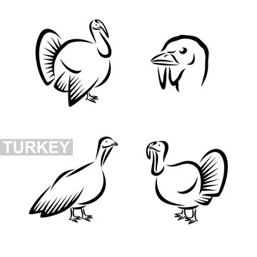 Turkey set. Vector