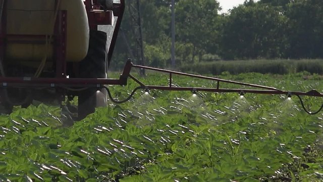 Agricultural tractor with crop sprayer attached spraying pesticides on sunflower plants in cultivated field