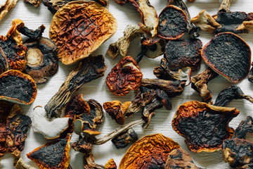 Dried mushrooms. Top view