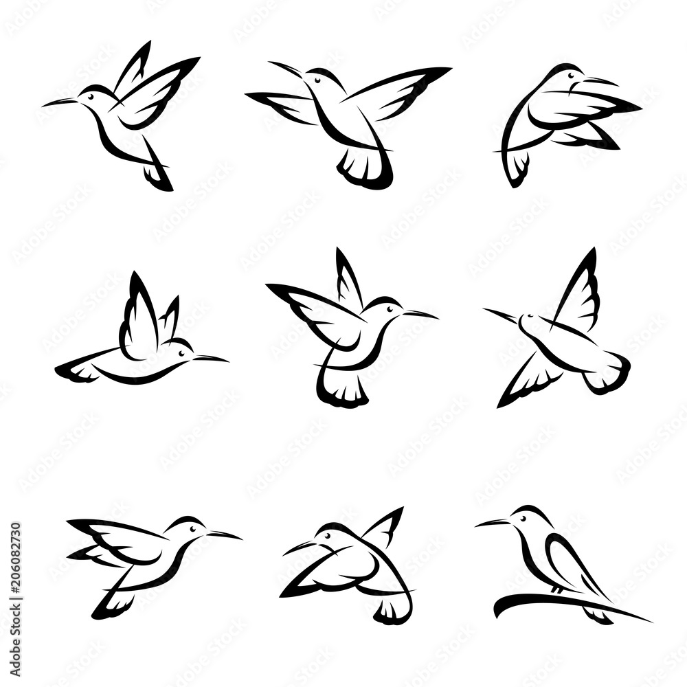 Wall mural colibri set. vector