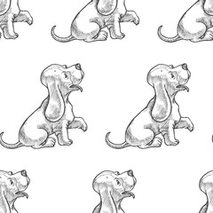 Vector seamless pattern with basset hound puppies. Hand drawn illustration with cute dogs isolated on white background. Animal character in sketch style