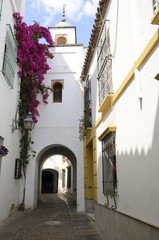 Tower in alley of the old town of Cordoba, Spain