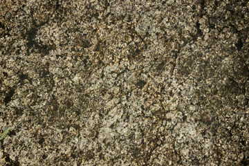 Rough stone Dark tone