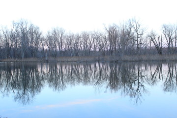 Fototapeta premium Lake reflection 