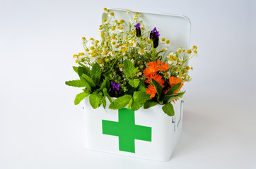 Alternative Medicine. Herbal Therapy.