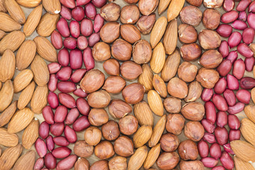 nuts background made from different kinds