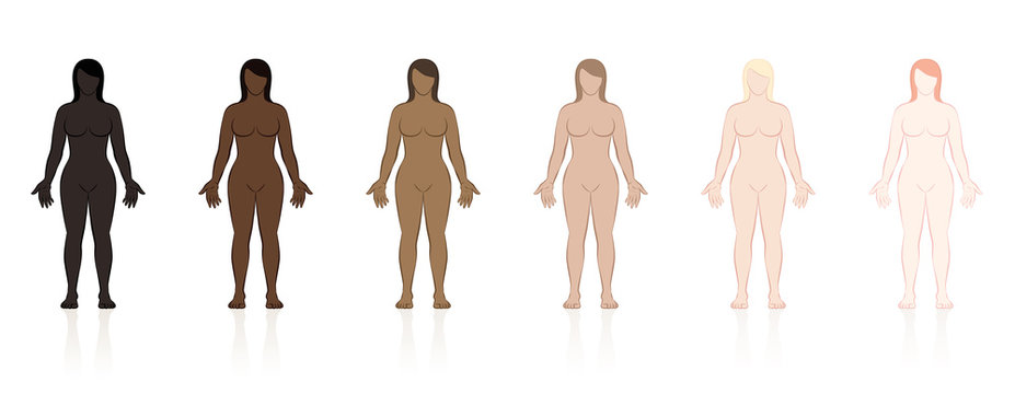 Skin types. Six naked women of different ethnic colors from black to brown to fair. Isolated vector illustration on white background.