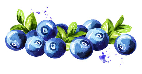 Blueberry. Heap of fresh ripe berries with leaves. Hand drawn watercolor illustration  isolated on white background
