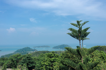Sky and sea view over Phuket with many island and top of a pine tree