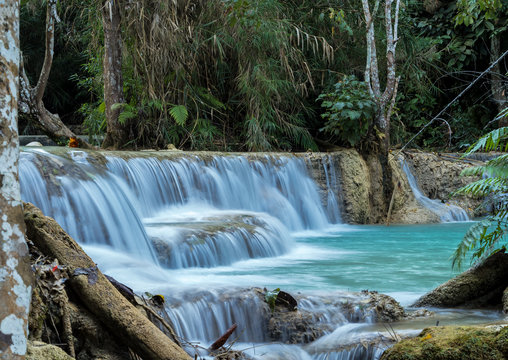 Laos - Luang Prabang - Tat Kuang Si Wasserfälle