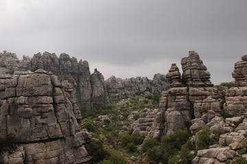 Fototapeta na wymiar Vista della foresta di roccia del Torcal di Antequera, Spagna