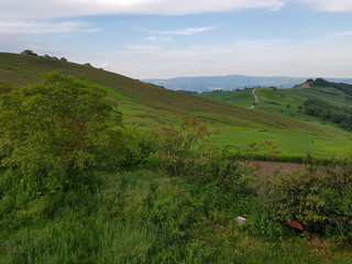 Obraz premium Hen,farm,agricolture,grass,farmaland,eggs,animals,panorama,wood,