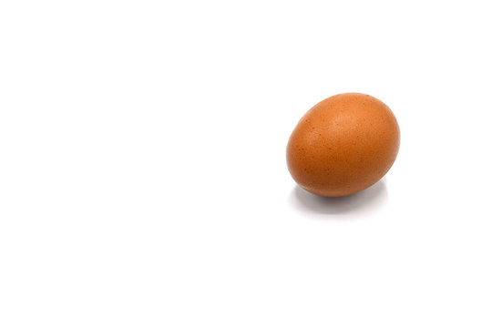 egg and a shadow on white background