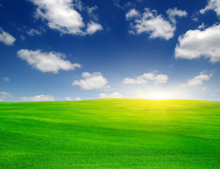 Green field and sun.