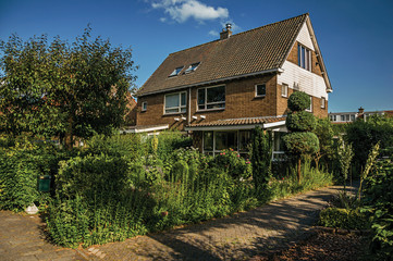 Fototapeta na wymiar Orange brick house with beautiful and verdant garden in front of alley under blue sky at Weesp. Quiet and pleasant village full of canals and green near Amsterdam. Northern Netherlands.