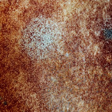natural mold texture, abstract background