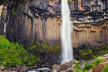 Famous Svartifoss waterfall, with its dark basalt walls, located in the Skaftafell National Park, Iceland.